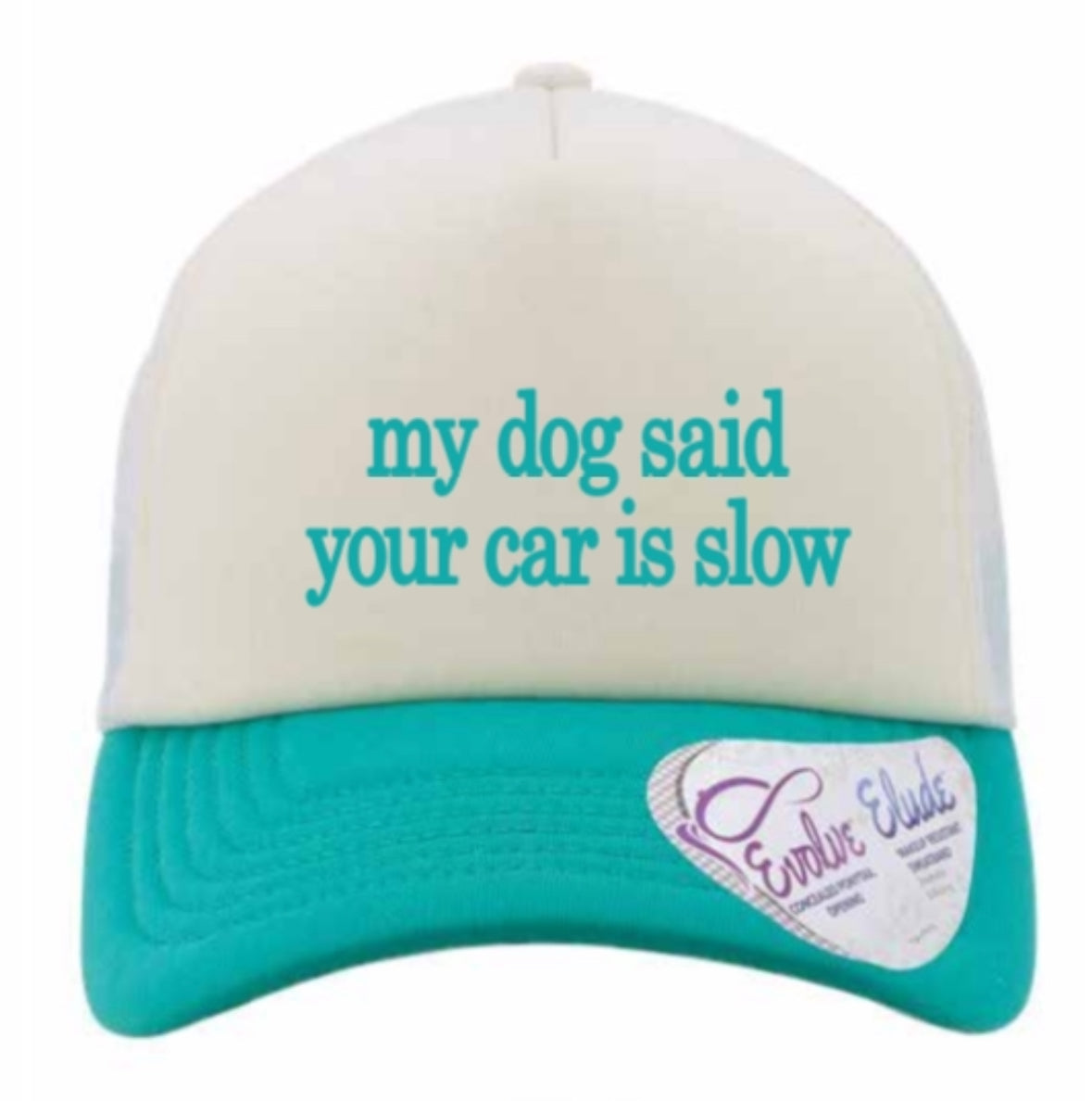 my dog said your car is slow