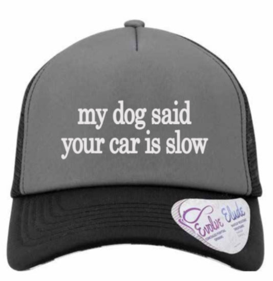 my dog said your car is slow